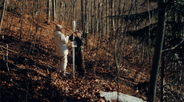현대자동차가 AI 기반 CSR 홍보 캠페인 ‘나무 특파원’을 공개했다. 사진=현대차 제공