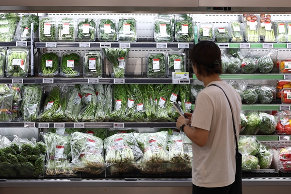 서울 한 대형마트에 여러 종류의 채소가 진열돼 있다. 사진=연합뉴스