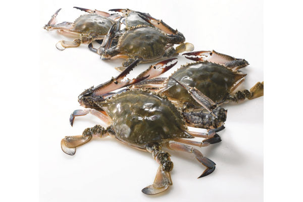 가을 햇꽃게 상품 이미지. 사진=이마트 제공