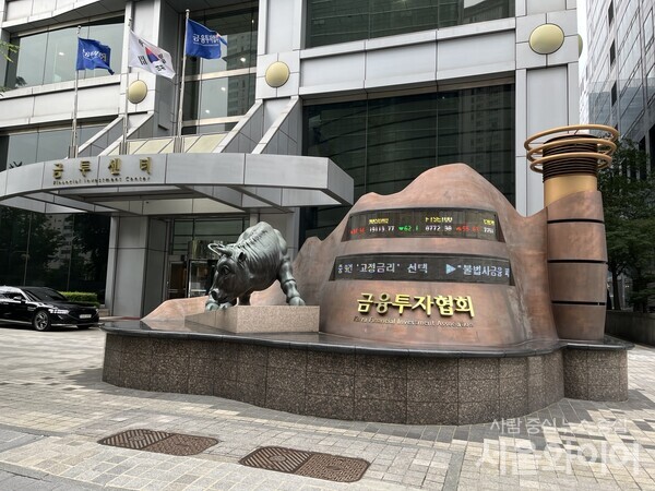 사진=서울와이어DB