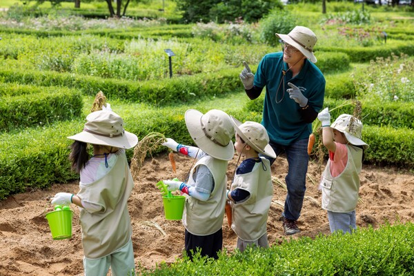 켄싱턴호텔 평창 프렌치 가드닝 스쿨 채소 수확 체험. 사진=이랜드파크 제공