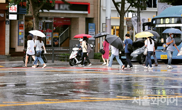 사진=서울와이어DB