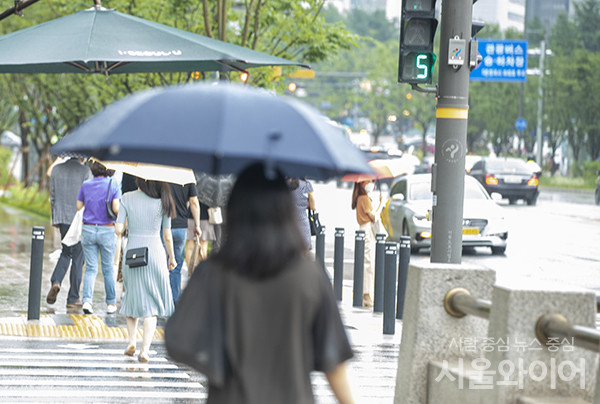 사진=서울와이어DB