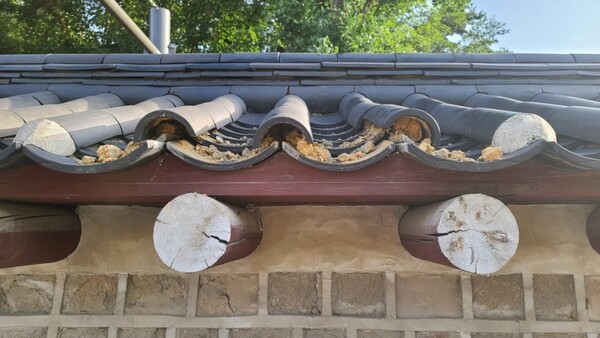 부서지고 떨어진 '세계유산' 종묘 담장 기와 일부. 사진=연합뉴스