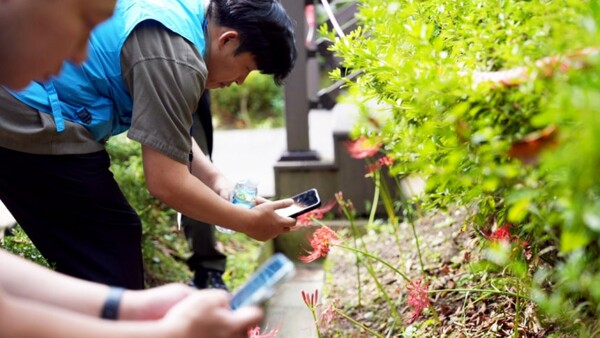 두산밥캣 본사 임직원들이 판교 금토산에서 생물탐사 활동을 진행하고 있다. 사진=두산밥캣