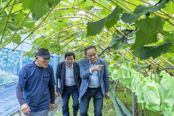 이찬우 NH농협금융지주 회장은 ‘신뢰의 금융, 혁신의 새로운 기준’을 경영 슬로건으로 내걸고, 고객 중심·디지털 혁신·ESG를 축으로 한 체질 전환에 속도를 내고 있다. 사진은 지난 7월 경기도 남부 소재 농가를 방문해 이찬우 회장(오른쪽)이 애로사항을 청취하고 있다. 사진=NH농협금융지주 제공