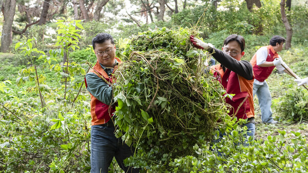 남산공원 소래풀군락지에서 유해식물 제거 활동을 펼치고 있는 이호정 SK네트웍스 대표(왼쪽). 사진=SK네트웍