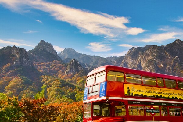 이랜드파크 켄싱턴호텔 설악 권금성 전망의 가을 전경. 사진=이랜드파크 제공