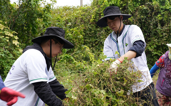 생물다양성 보전 활동을 하고 있는 HS효성첨단소재 임직원들. 사진=HS효