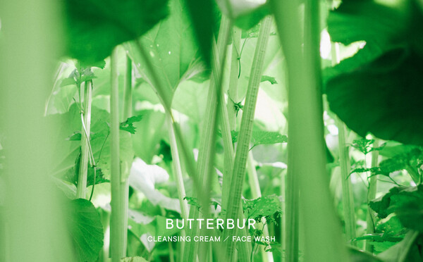 시로의 센시티브(민감성) 라인을 대표하는 소재인 ‘라완 머위’. 사진=시로 제공