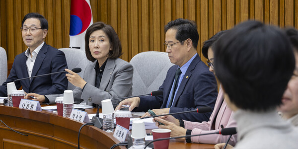 국민의힘 지방선거 총괄기획단장을 맡은 나경원 의원이 지난 7일 국회에서 열린 기획단 회의에서 인사말하고 있다. 사진=연합뉴스