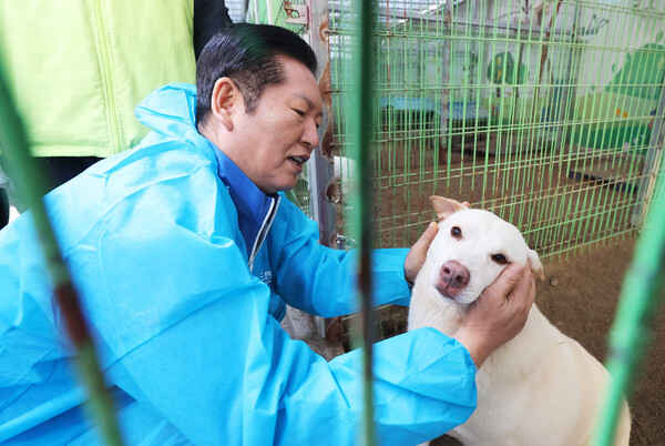 지난 9일 당 대표 취임 100일을 맞은 정청래 더불어민주당 대표가경기도 용인시 처인구 백암면에 위치한 유기견 보호소 '행복한 강아지들이 사는 집'에서 봉사활동에 나섰다. 사진=연합뉴스 