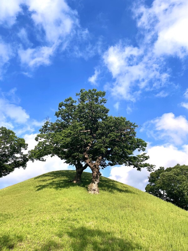 제2회 HS효성 2026 사진 공모전 당선작. 사진=HS효성