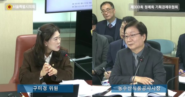 서울특별시의회 기획경제위원회 소속 구미경 시의원(왼쪽)이 지난 12일 열린 제333회 정례회 서울신용보증재단 행정사무감사에서 “골목상권 활성화 지원사업이 실질적 성과보다 형식적 실적 쌓기에 치우쳐 있다”며 전반적인 구조 점검 필요성을 제기했다. 사진=서울시의회