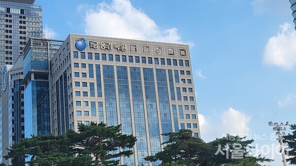 금융감독원이 세계은행과 디지털 금융환경에 대응한 소비자보호전략을 공유했다. 사진=서울와이어DB