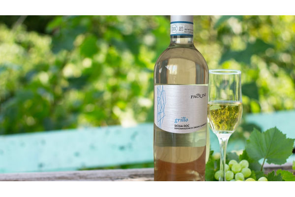 이랜드리테일이 운영하는 마트 브랜드 킴스클럽이 이탈리아 시칠리아 산지의 화이트 와인 신제품 ’칸티네 파올리니 그릴로’를 출시했다. 사진=이랜드 제공