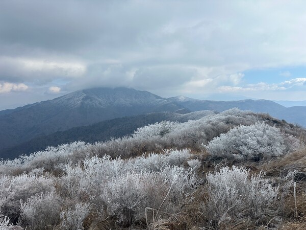 18일 지리산 노고단에 상고대가 피어있다. 사진=지리산국립공원 전남사무소
