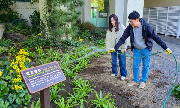 금호제주리조트에 식재한 파초일엽에 물을 주고 있는 금호석유화학그룹 직원들. 사진=금호석유화학