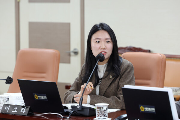 이소라 서울시의원이 전날 정근식 교육감의 내년도 예산편성 방향 보고를 듣고 주요 공약 이행 지연과 핵심 교육 분야 예산 확대의 필요성을 주장했다. 사진=서울시의회 