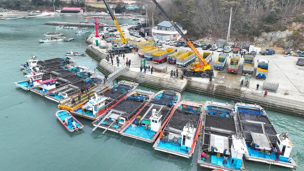 완도군 군외면 당인리의 물김 위판 현장 (사진제공=완도군)